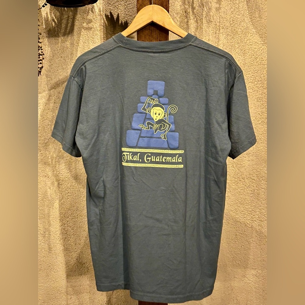 Tikal Guatemala Graphic T-Shirt - Gray